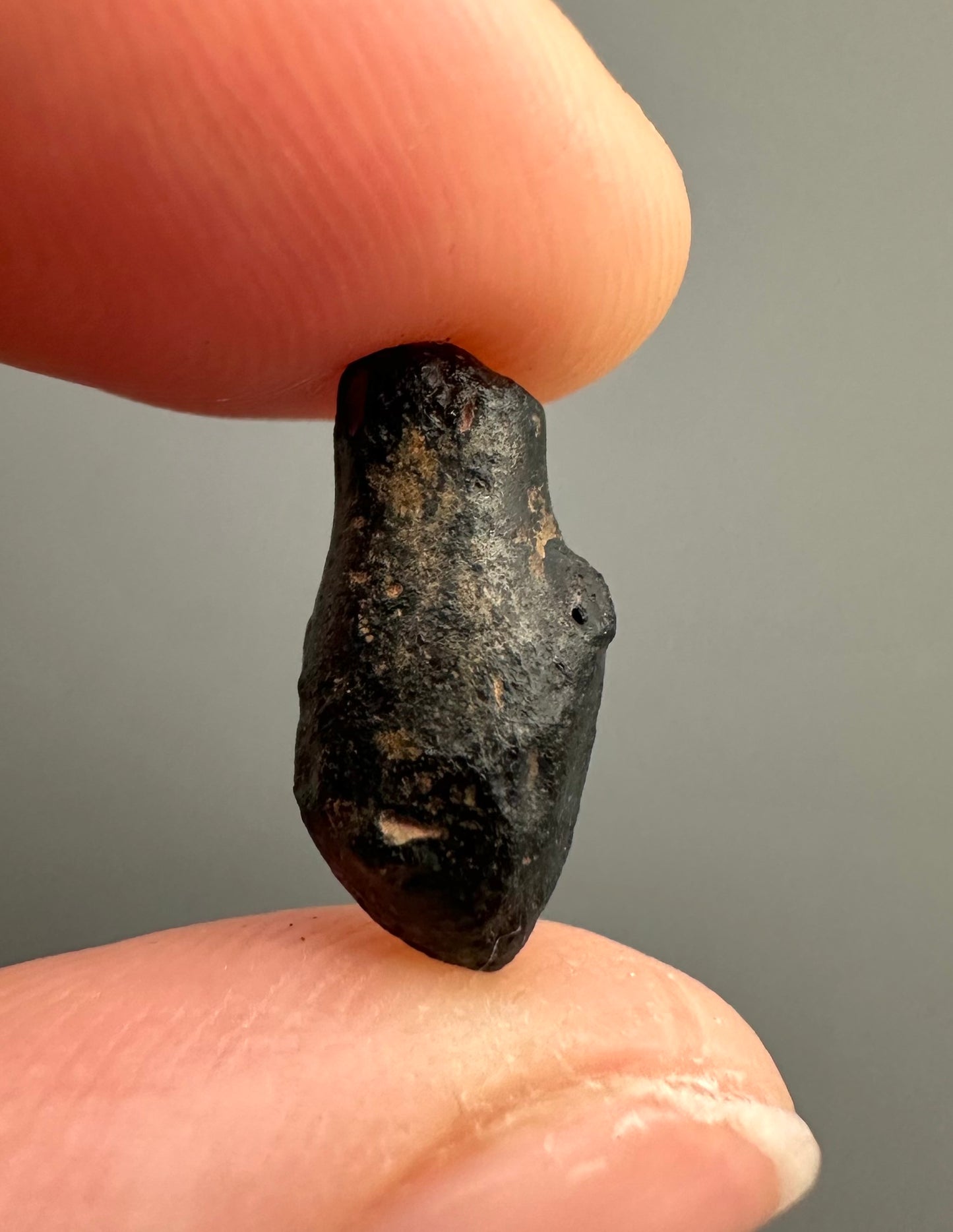 Atacamaite – Atacama desert, Chile – ATC003