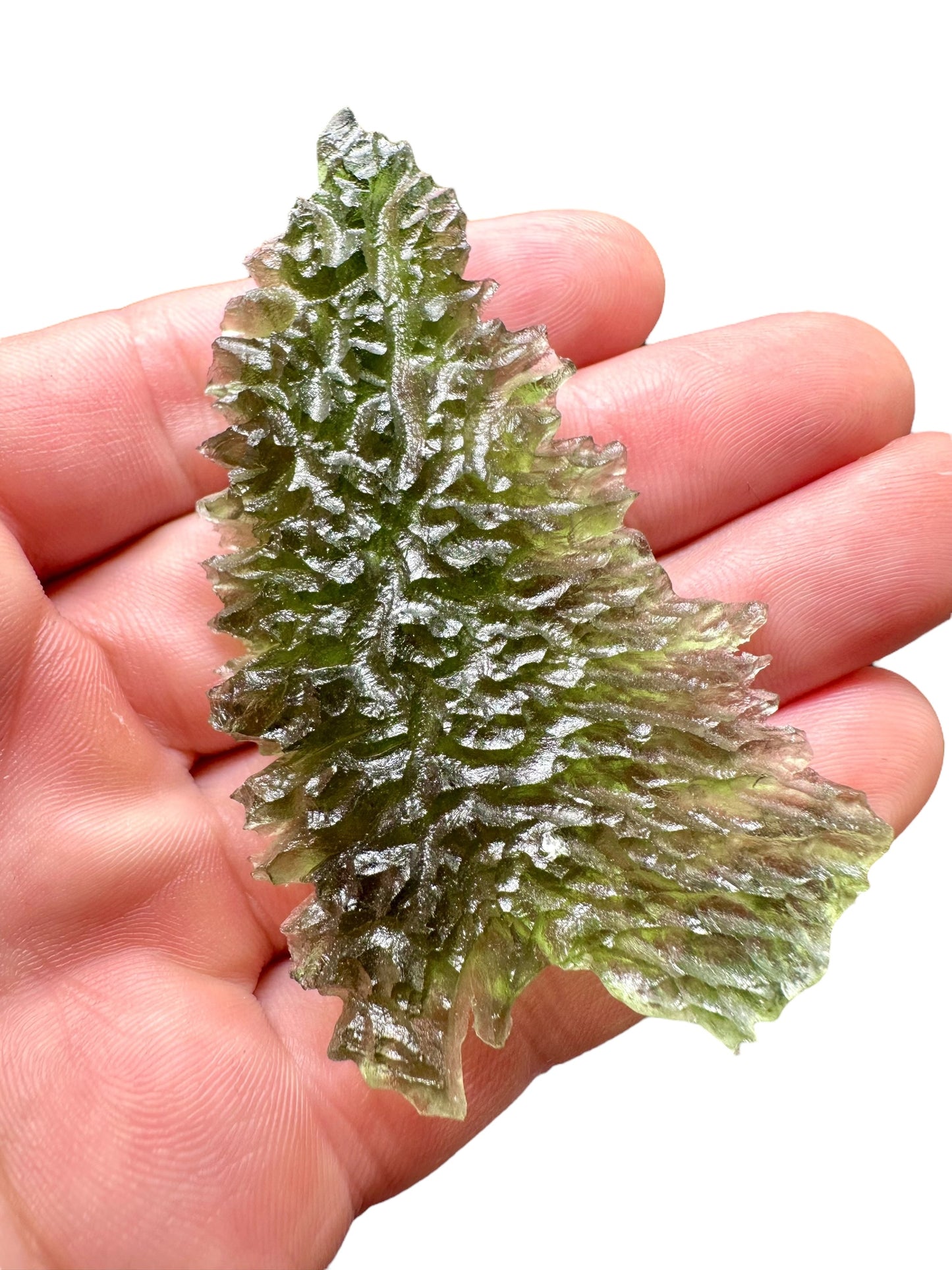Moldavite – Besednice Jezkovna – 21g