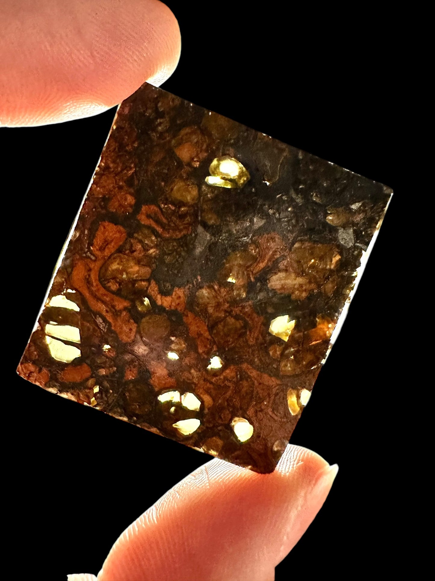 Meteorite Pallasite Jepara – Java, Indonesia – MEJE04