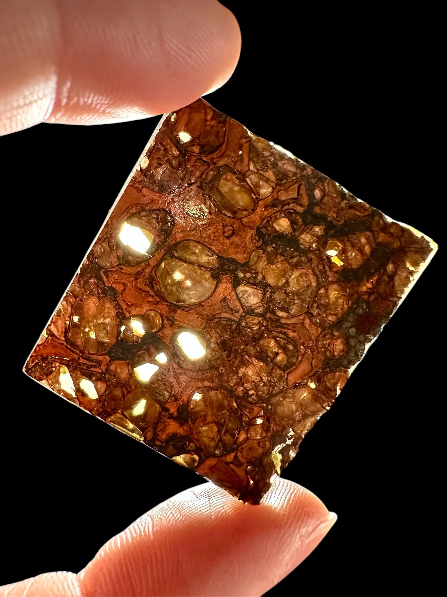Meteorite Pallasite Jepara – Java, Indonesia – MEJE05