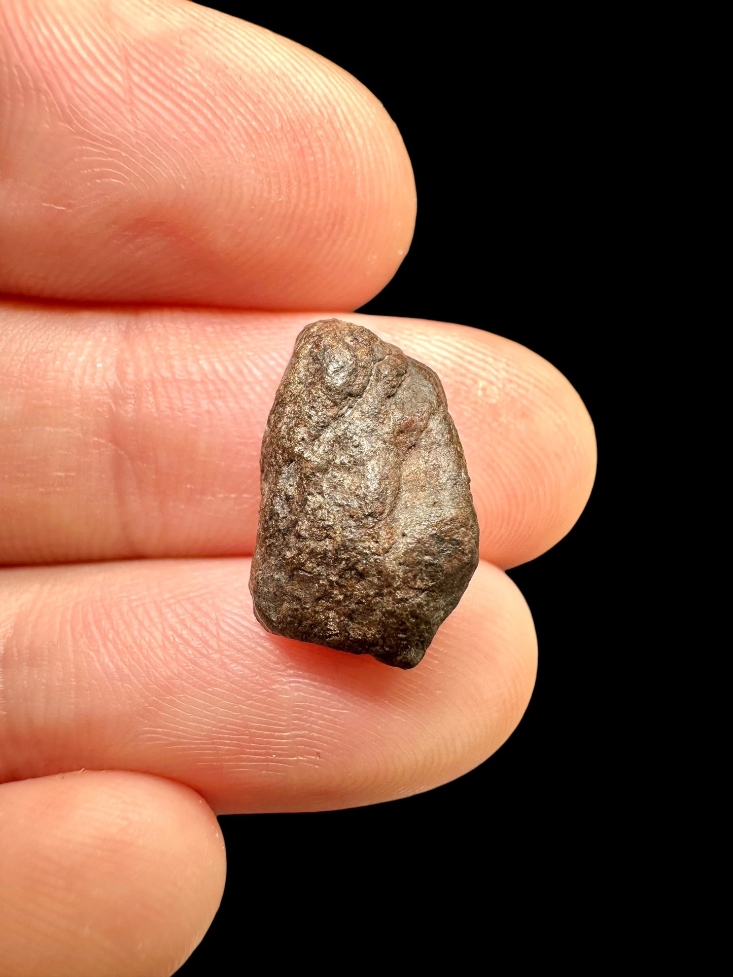 Meteorite Gattoalina 500 – Chile – MECA01