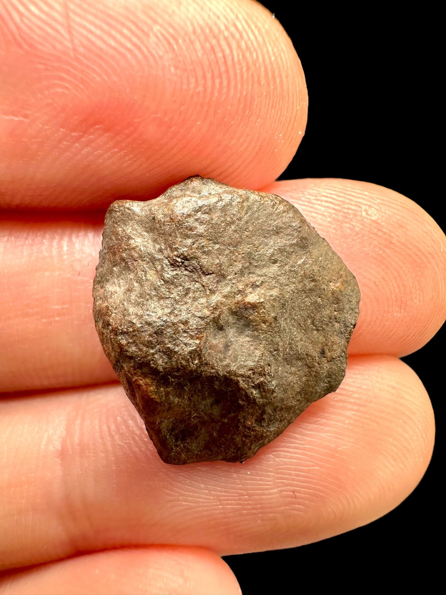 Meteorite Gattoalina 500 – Chile – MECA02