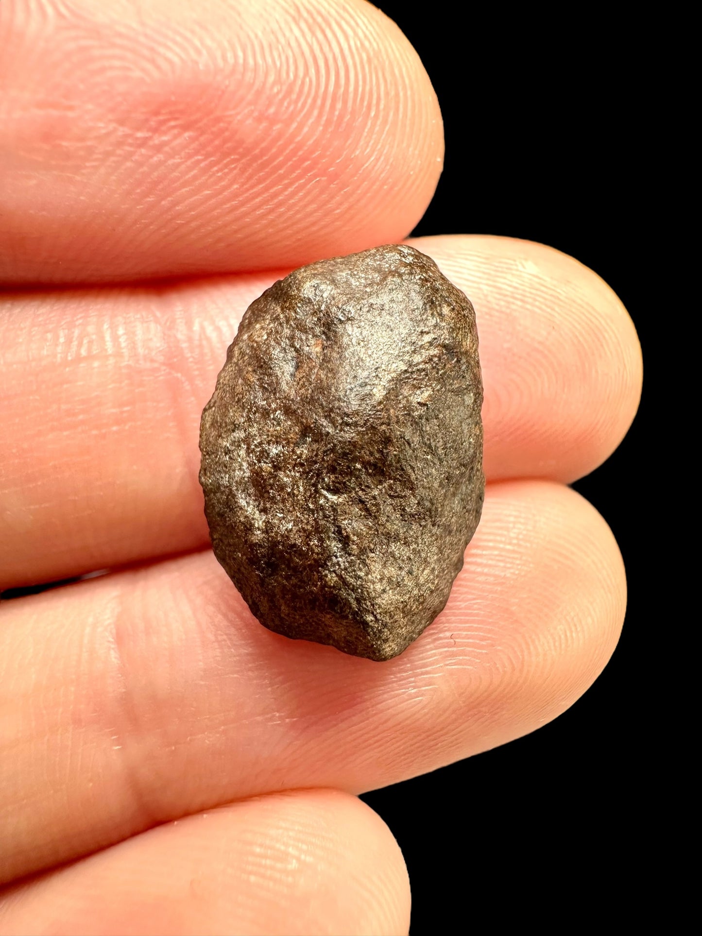 Meteorite Gattoalina 500 – Chile – MECA03