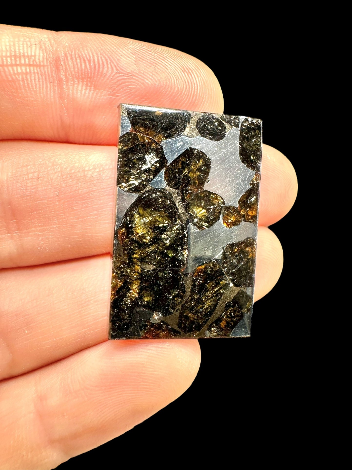 Meteorite Pallasite Sericho – Kenya – MESR44