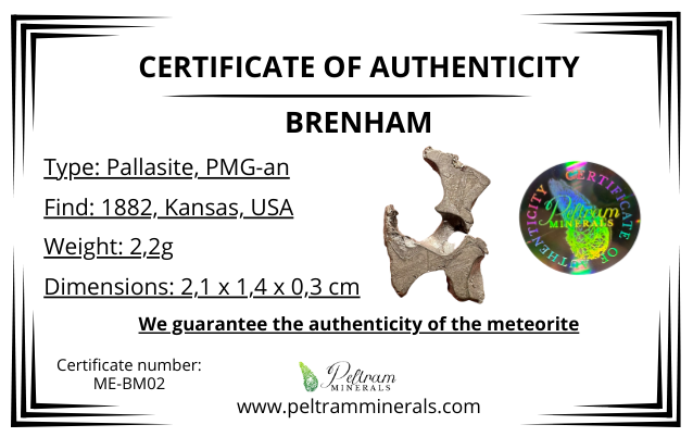 Meteorite Pallasite Brenham – Kansas, USA – MEBM02