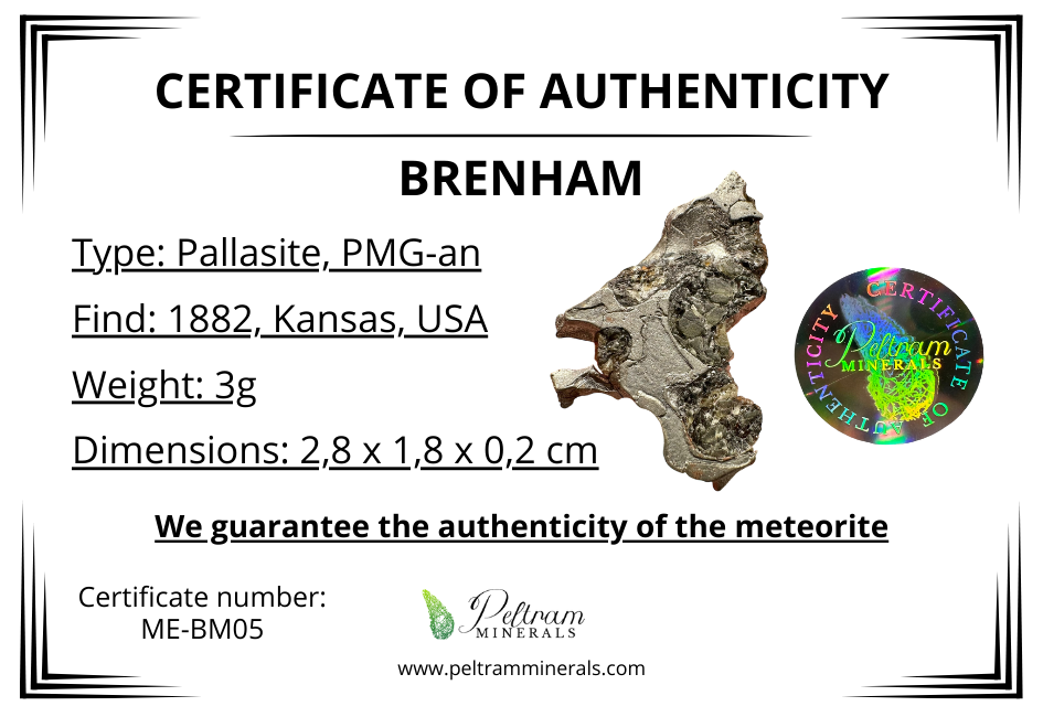 Meteorite Pallasite Brenham – Kansas, USA – MEBM05