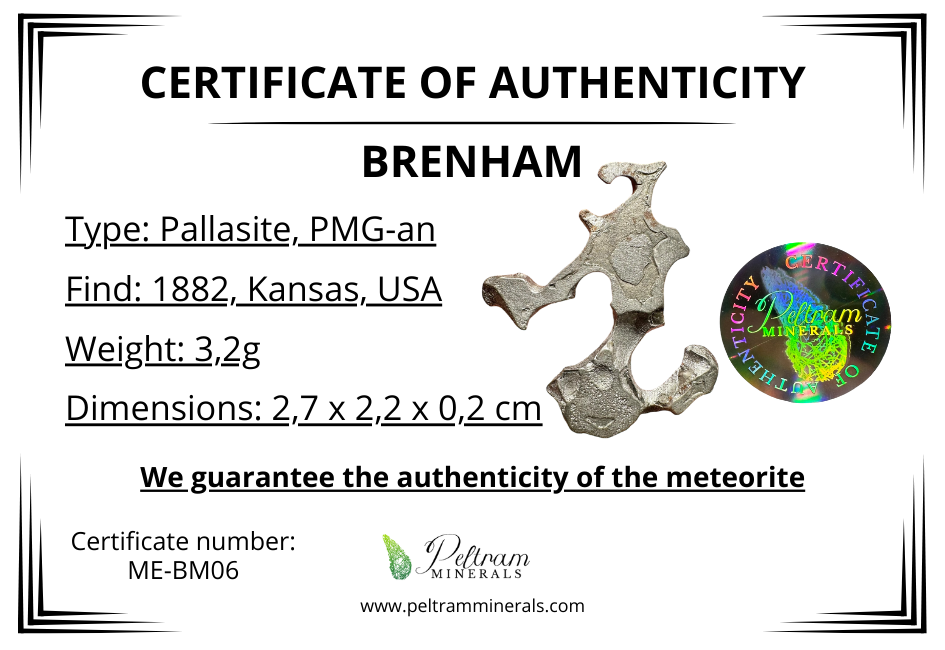 Meteorite Pallasite Brenham – Kansas, USA – MEBM06