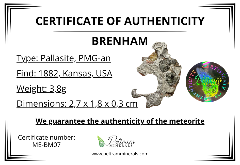 Meteorite Pallasite Brenham – Kansas, USA – MEBM07