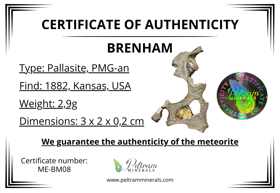 Meteorite Pallasite Brenham – Kansas, USA – MEBM08