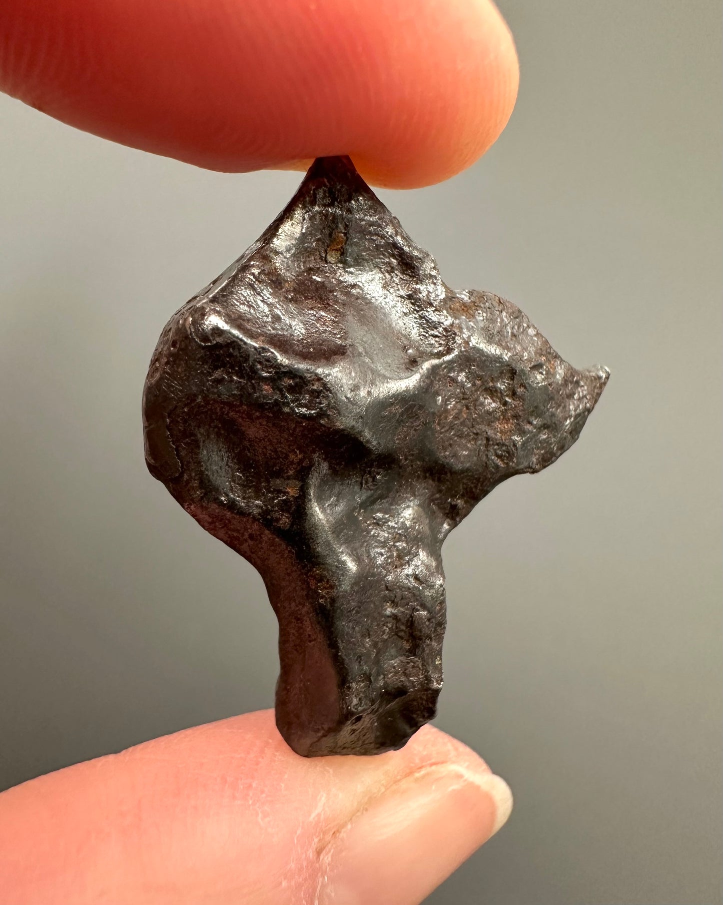 Meteorite Sikhote Alin – Russia – MESI15