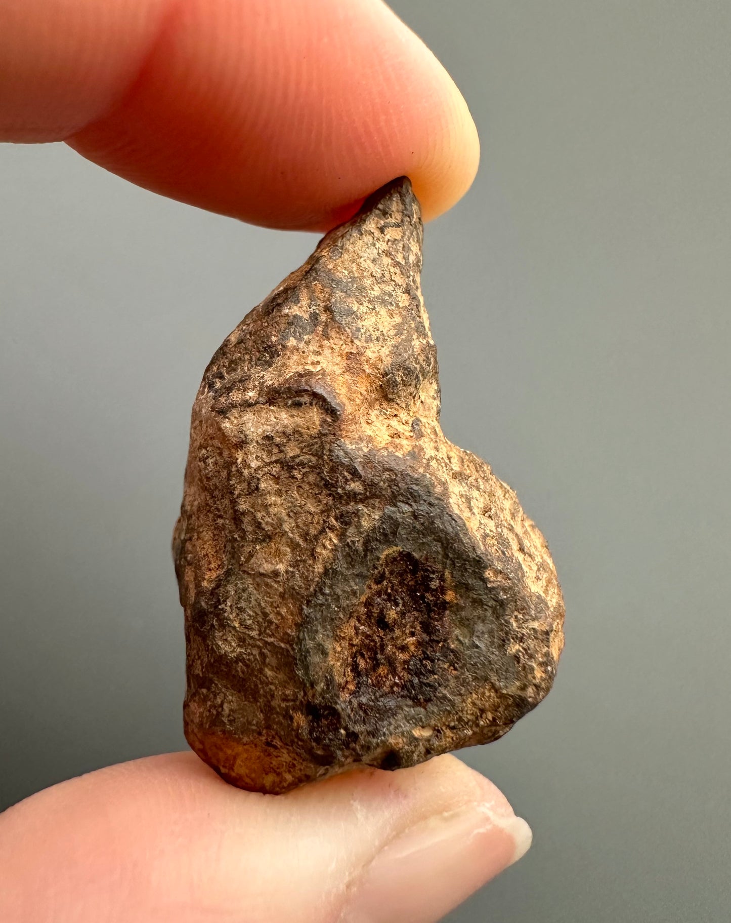 Meteorite Agoudal "Imilchil" – Morocco – MEAG03
