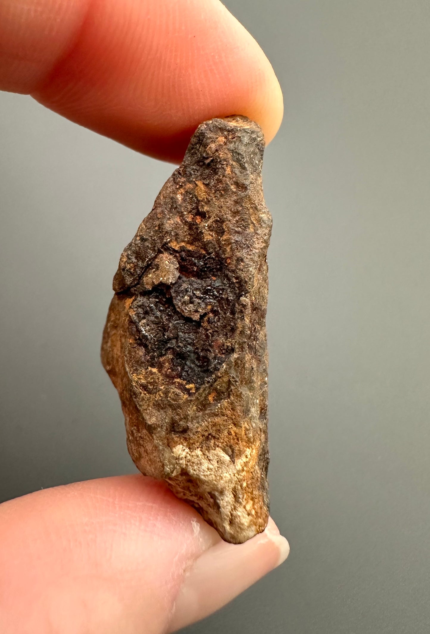 Meteorite Agoudal "Imilchil" – Morocco – MEAG04