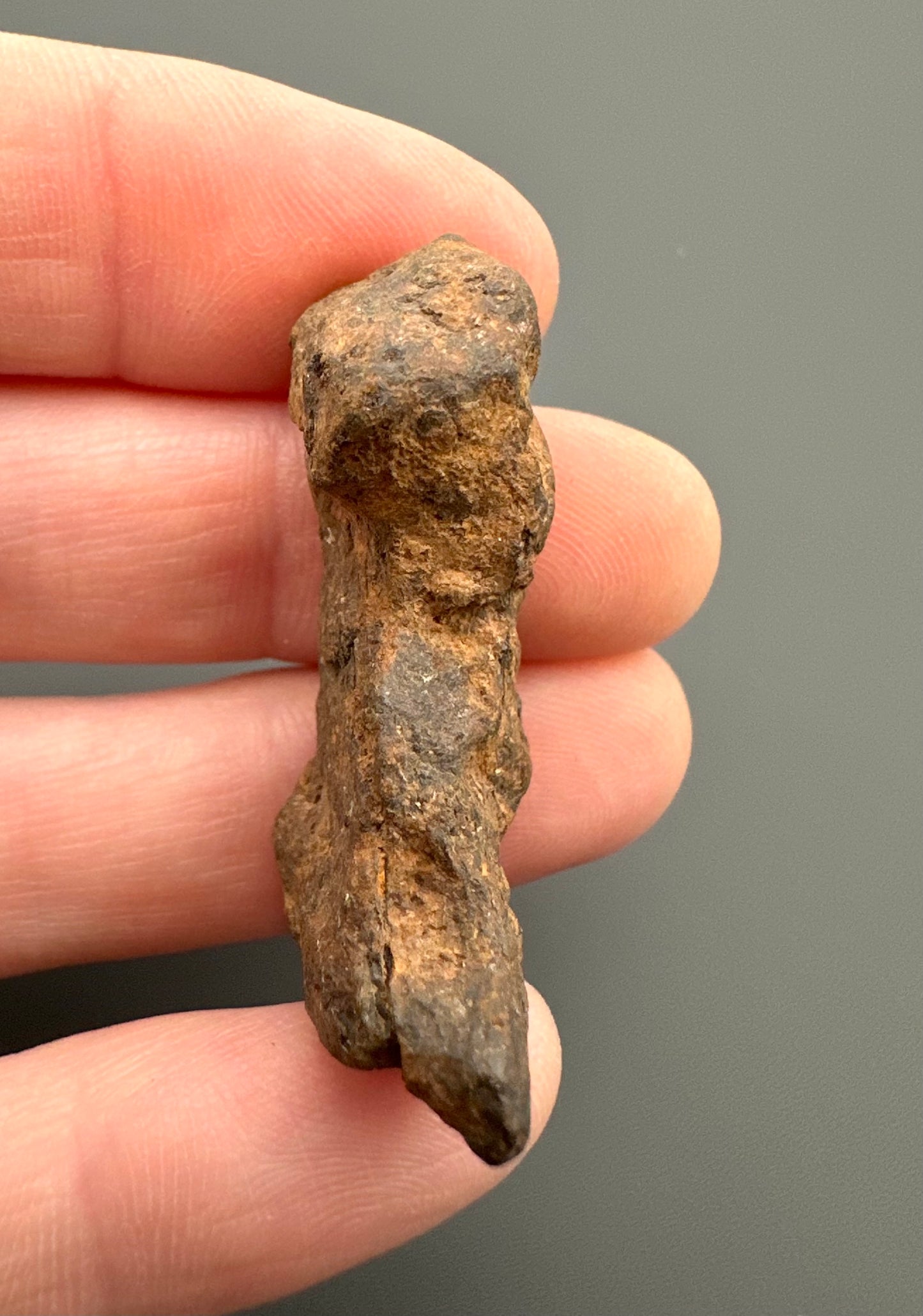 Meteorite Agoudal "Imilchil" – Morocco – MEAG05