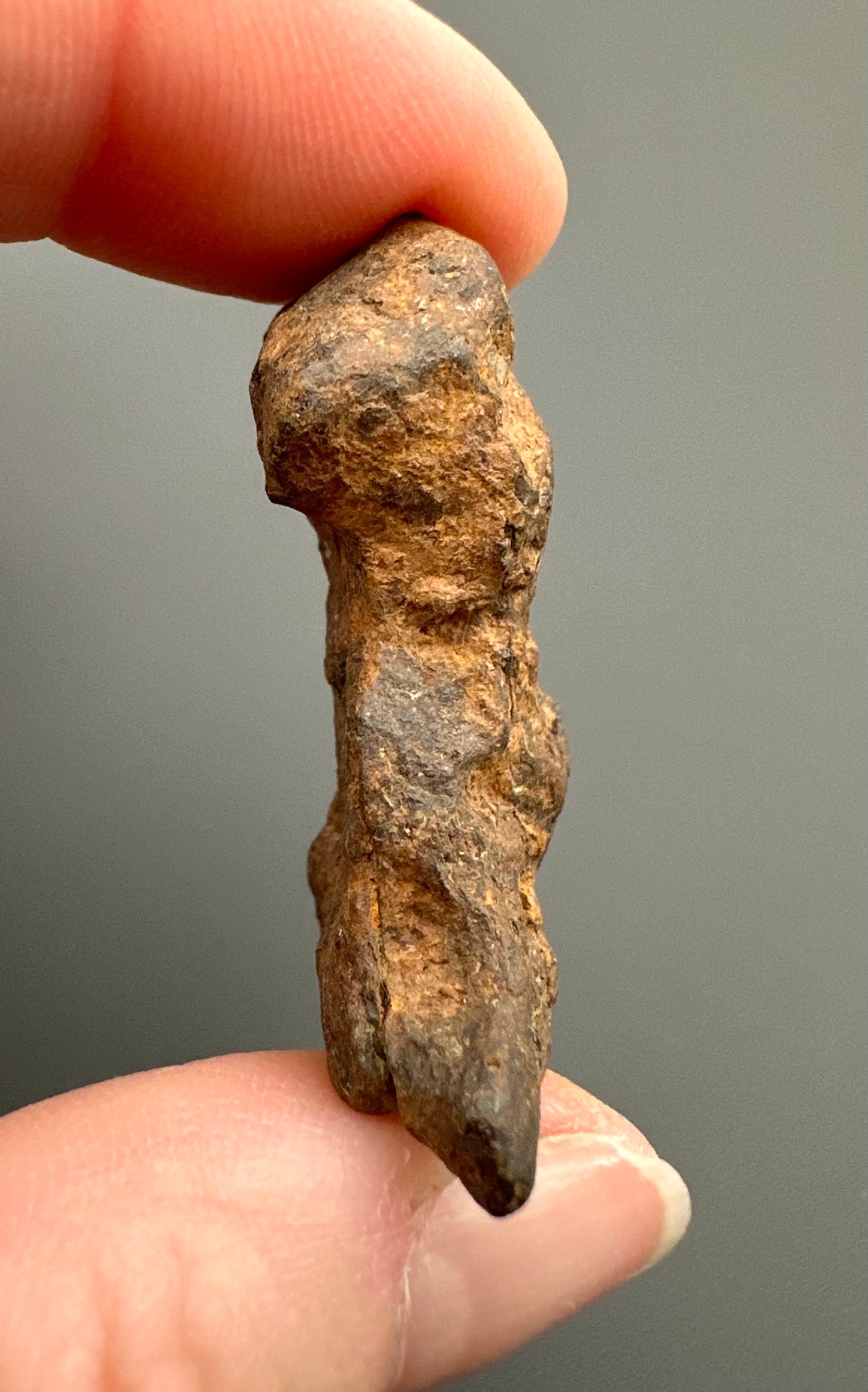 Meteorite Agoudal "Imilchil" – Morocco – MEAG05