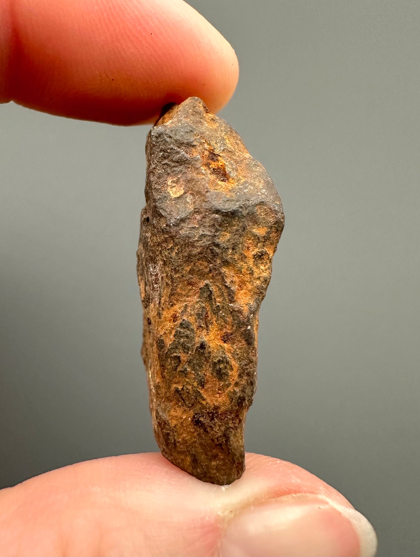 Meteorite Agoudal "Imilchil" – Morocco – MEAG07