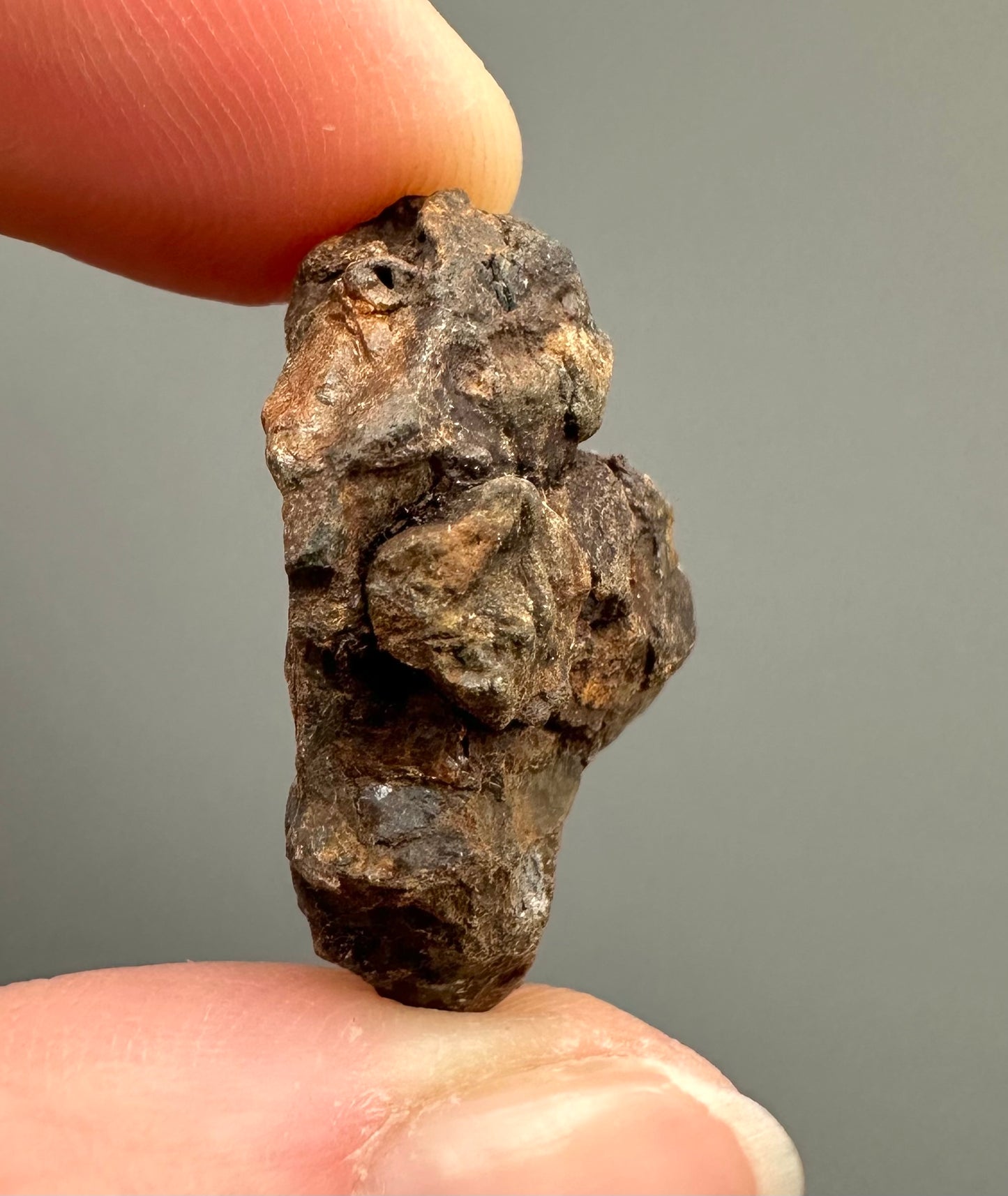 Meteorite Pallasite Sericho – Kenya – MESR49