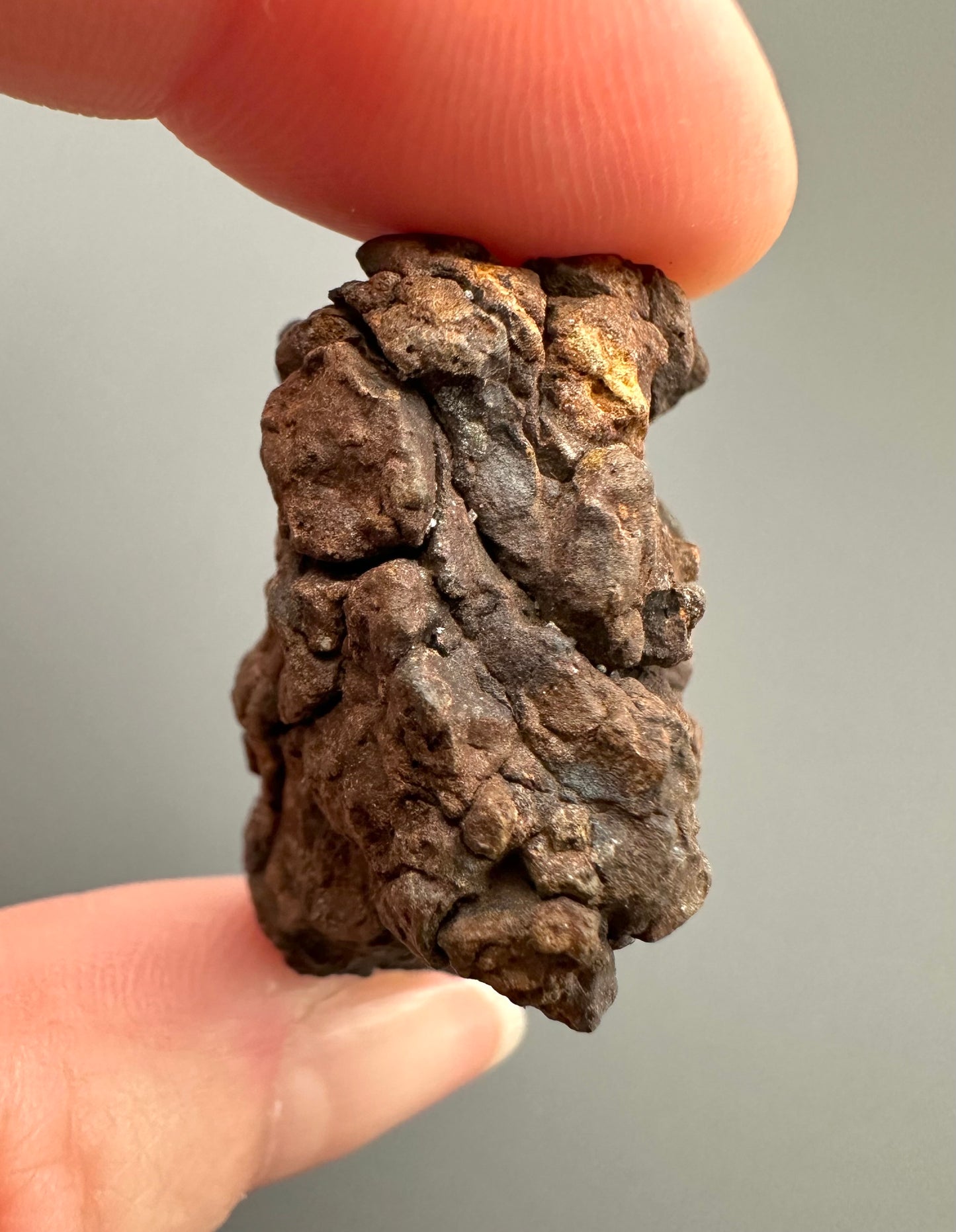 Meteorite Pallasite Sericho – Kenya – MESR50