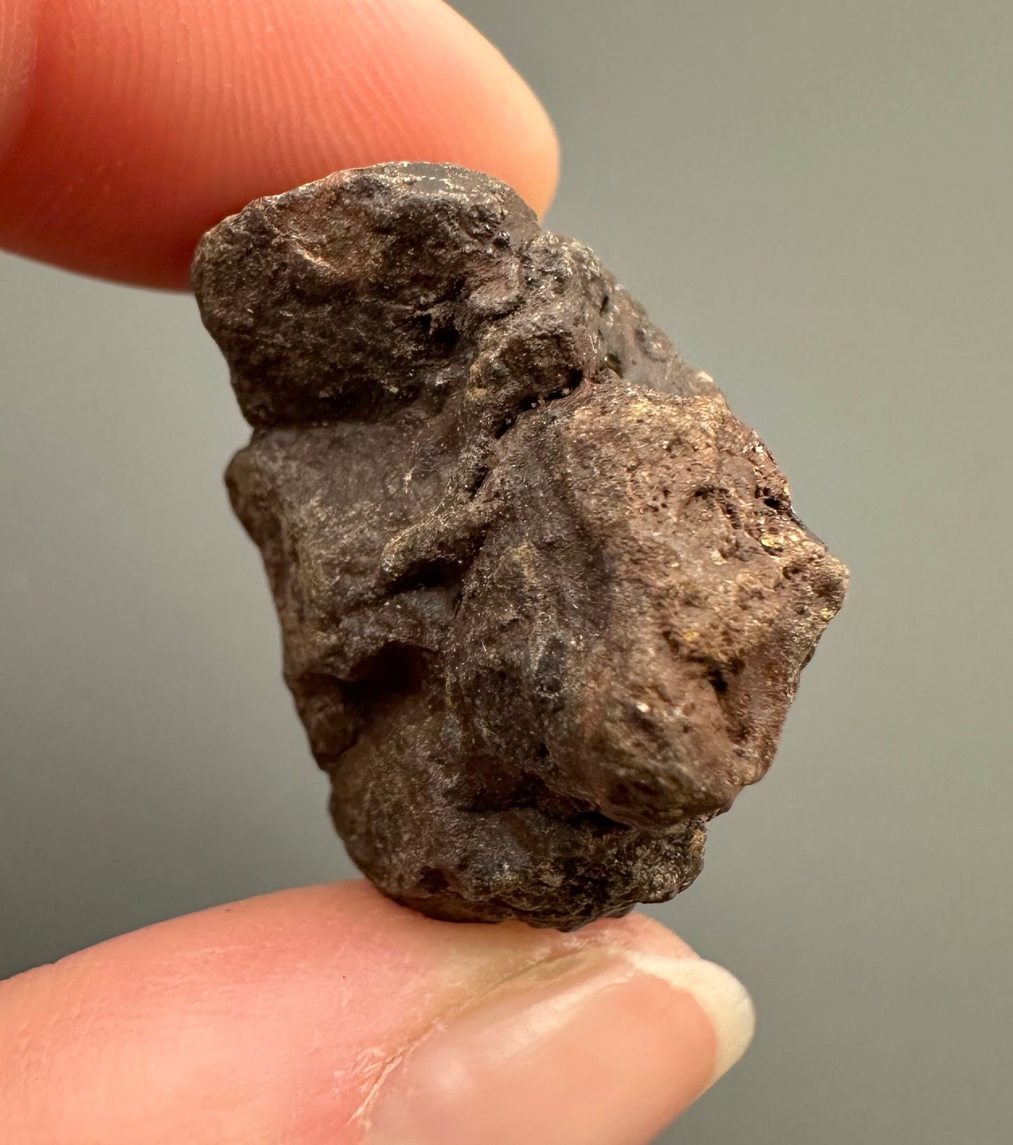 Meteorite Pallasite Sericho – Kenya – MESR52