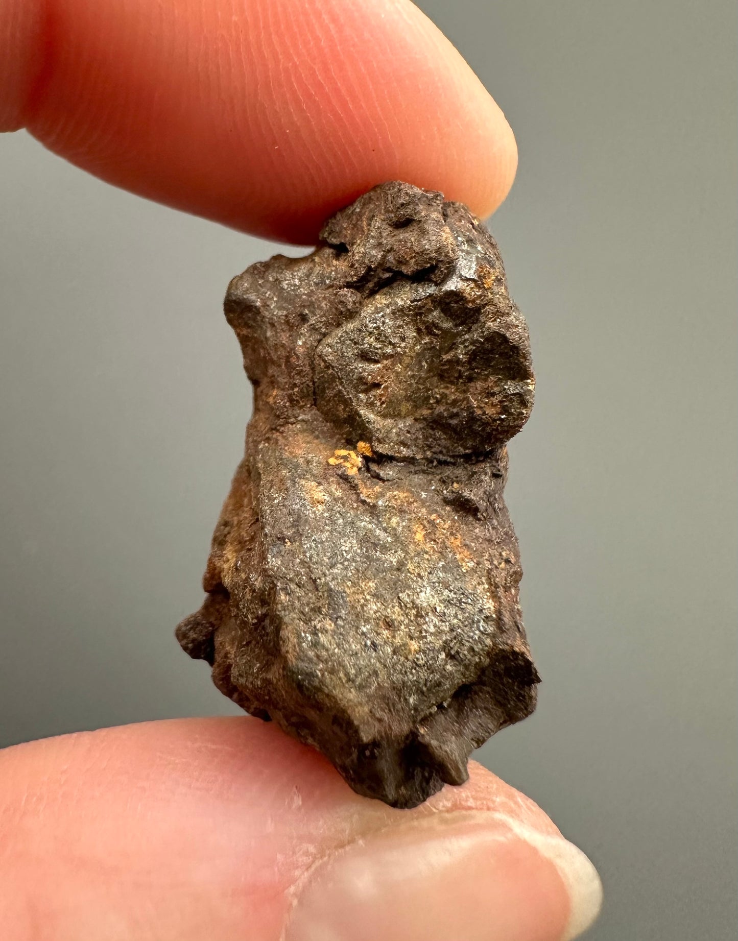 Meteorite Pallasite Sericho – Kenya – MESR53