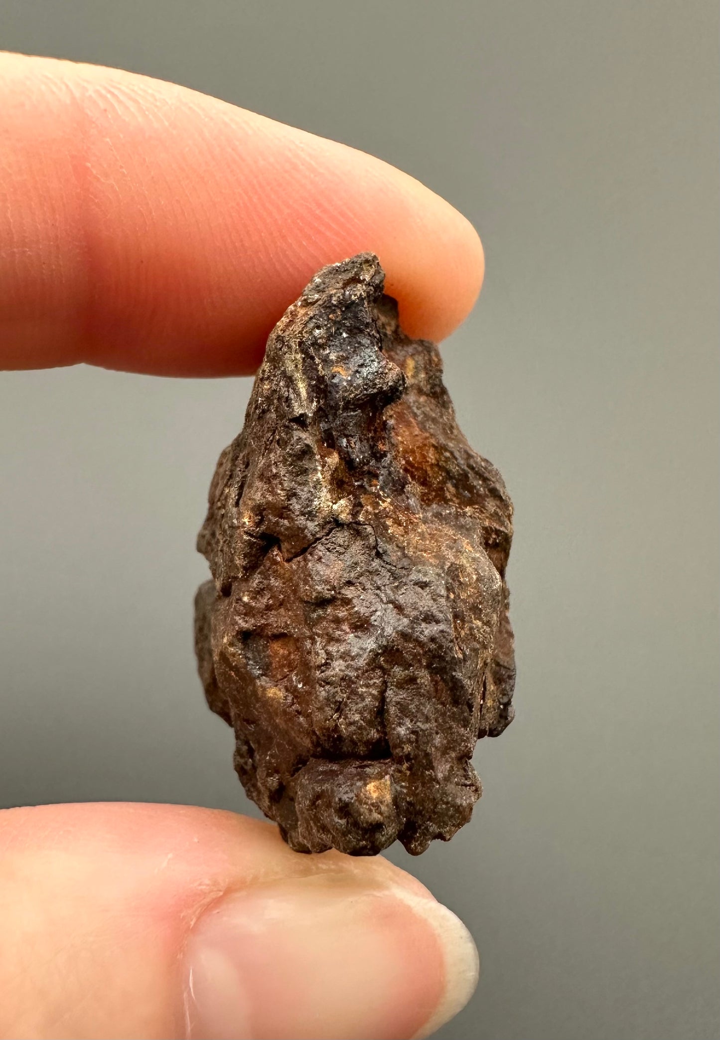 Meteorite Pallasite Sericho – Kenya – MESR54