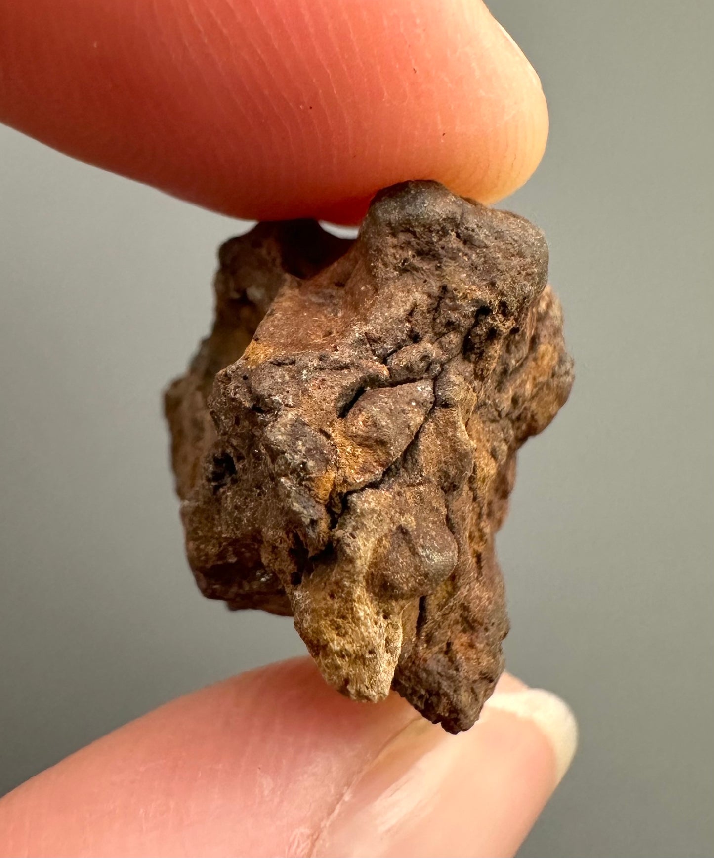 Meteorite Pallasite Sericho – Kenya – MESR60