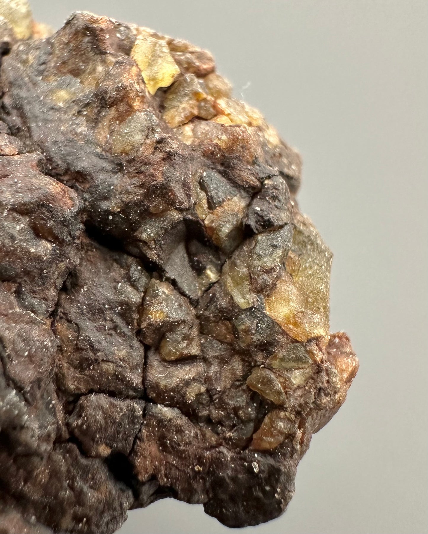 Meteorite Pallasite La'gad 002 – Western Sahara – MELA01