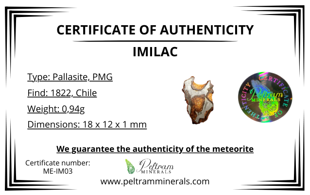 Meteorite Pallasite Imilac – Chile – MEIM03