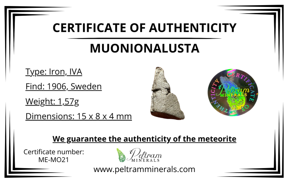 Meteorite Muonionalusta – Norrbotten, Sweden – MEMO21
