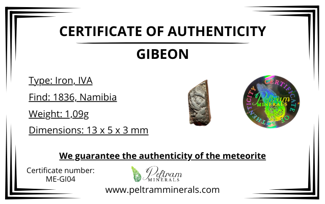 Meteorite Gibeon – Namibia – MEGI04