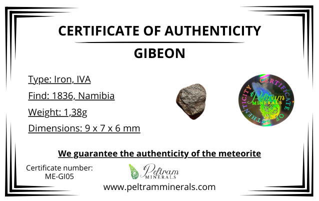 Meteorite Gibeon – Namibia – MEGI05