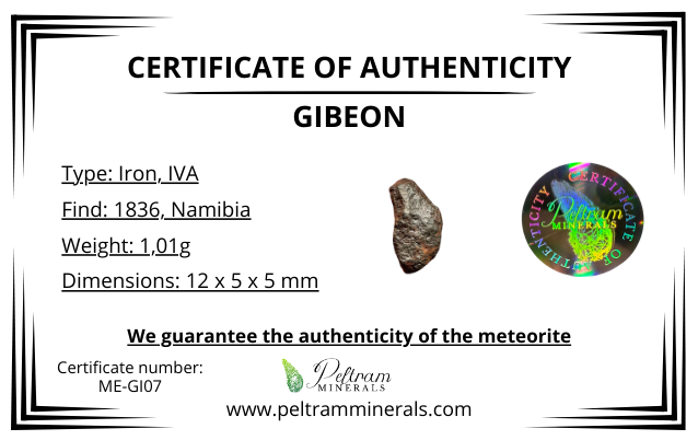 Meteorite Gibeon – Namibia – MEGI07