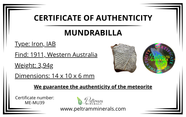Meteorite Mundrabilla – Nullarbor plain, Australia – MEMU39