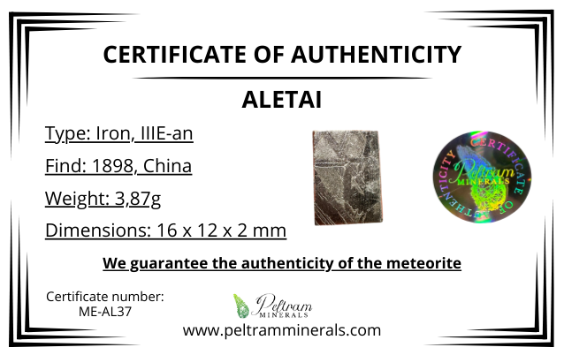 Meteorite Aletai – Xinjiang, China – MEAL37