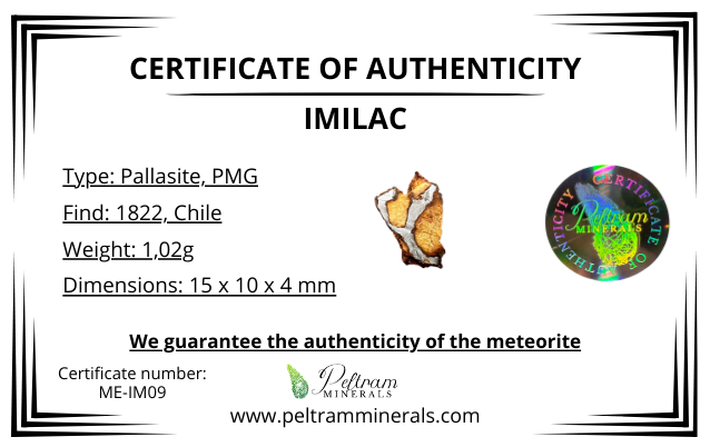 Meteorite Pallasite Imilac – Chile – MEIM09