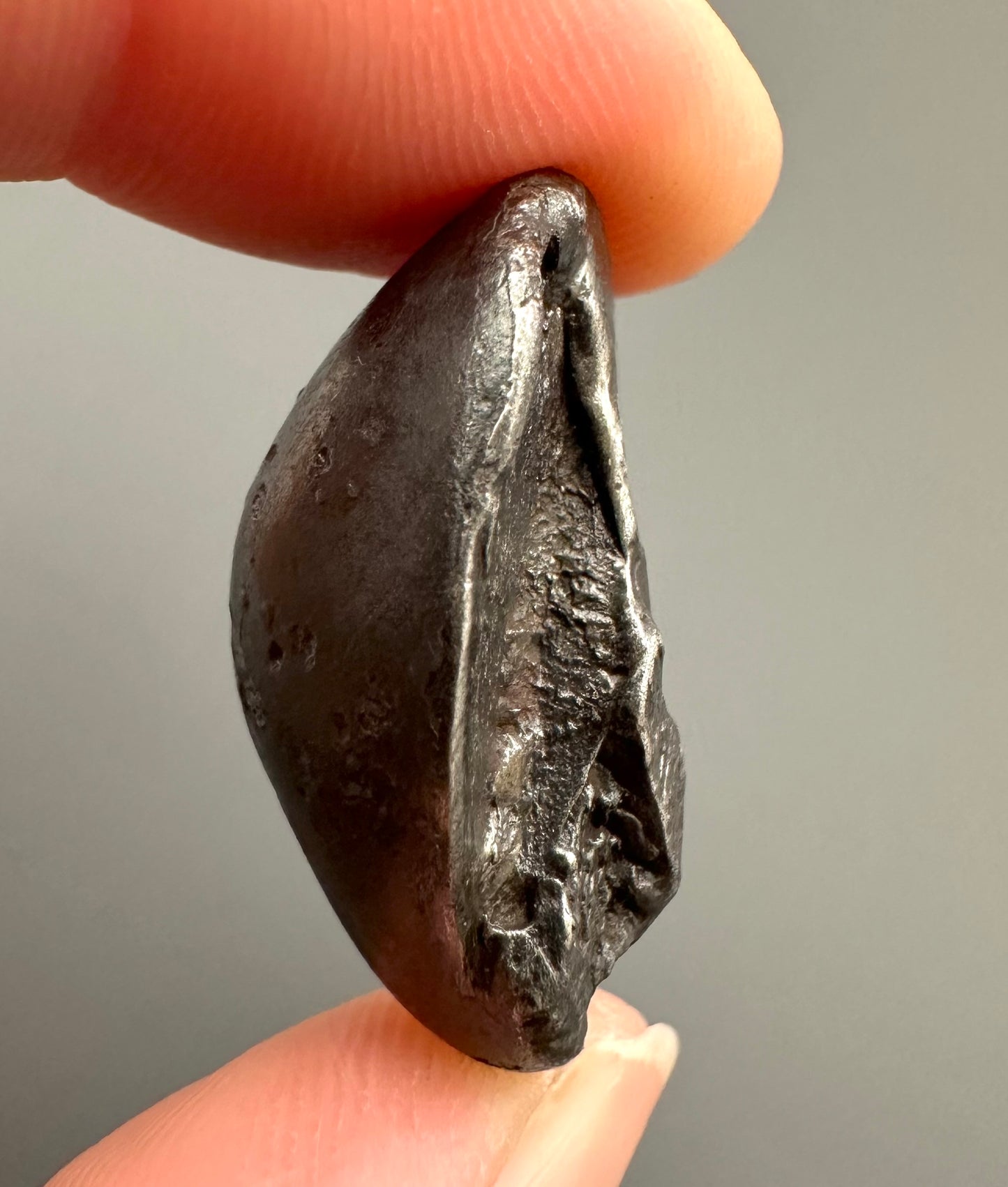 Meteorite Sikhote Alin – Russia – MESI22