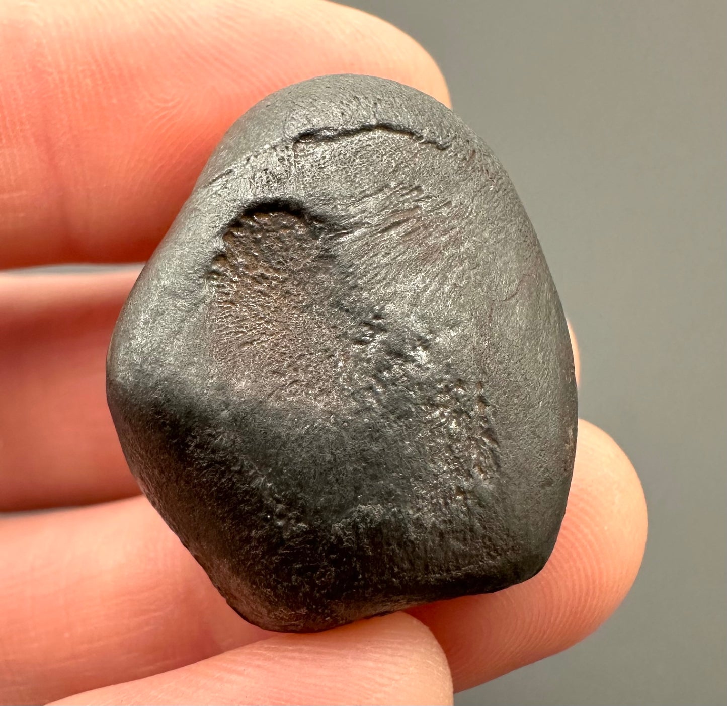 Meteorite Sikhote Alin – Russia – MESI24
