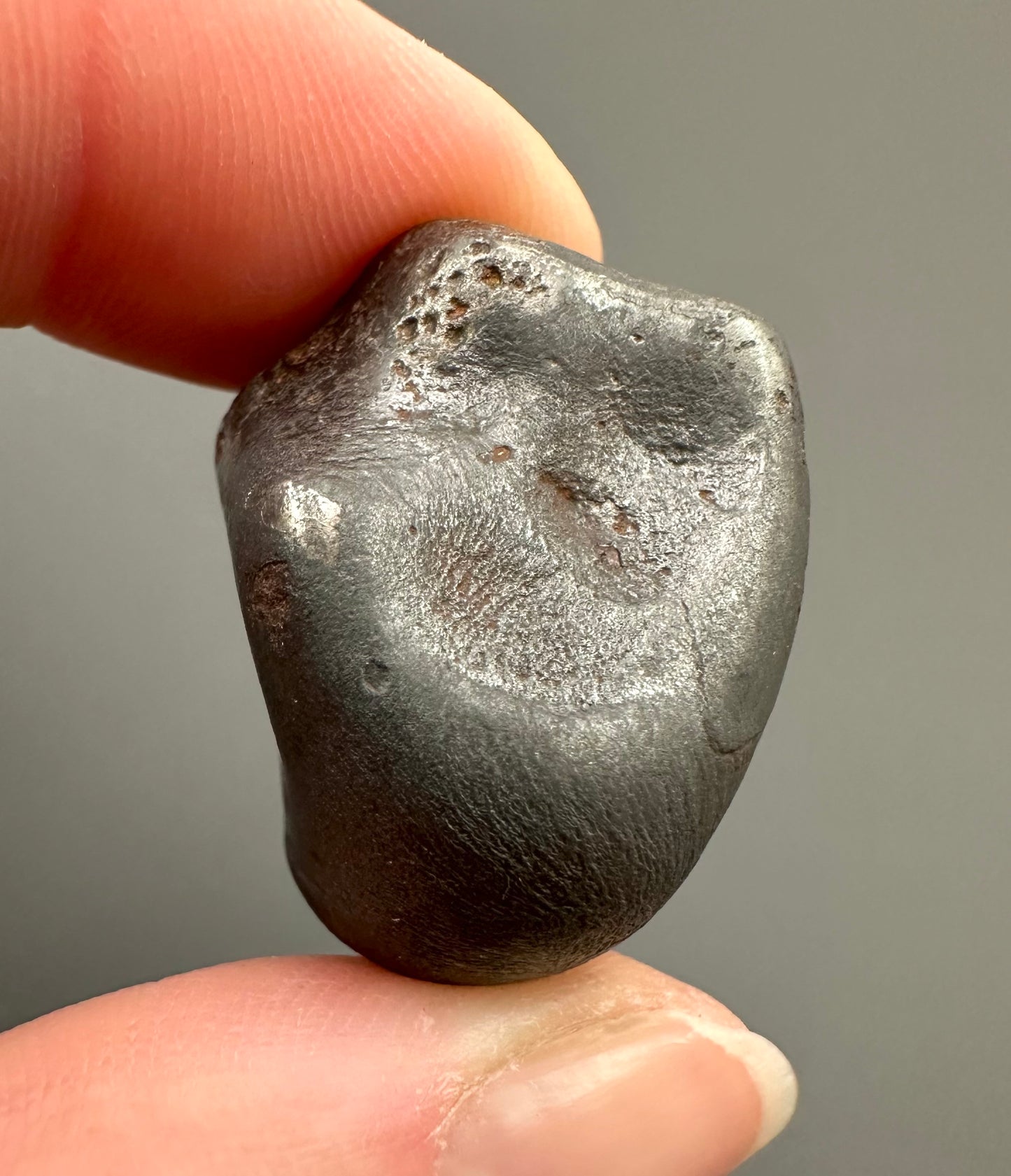 Meteorite Sikhote Alin – Russia – MESI24