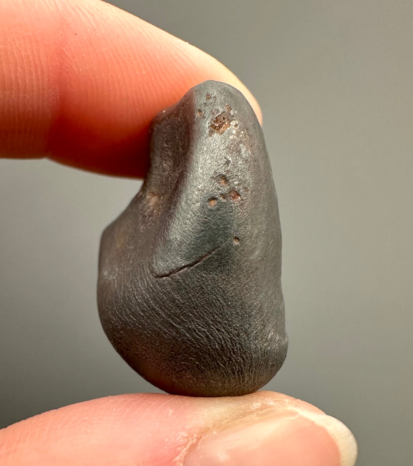Meteorite Sikhote Alin – Russia – MESI24