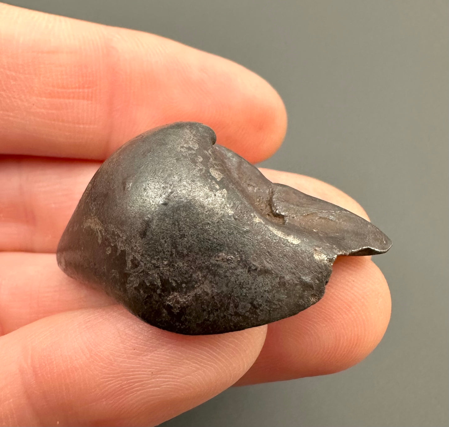 Meteorite Sikhote Alin – Russia – MESI25