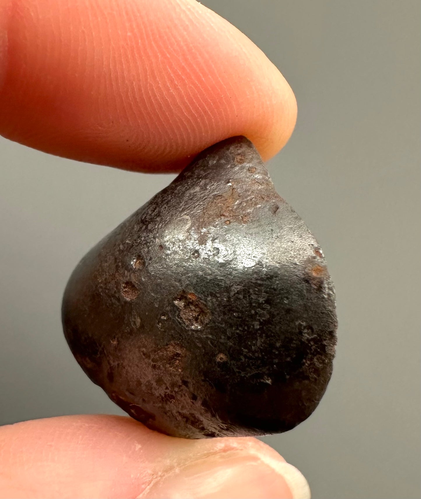 Meteorite Sikhote Alin – Russia – MESI26