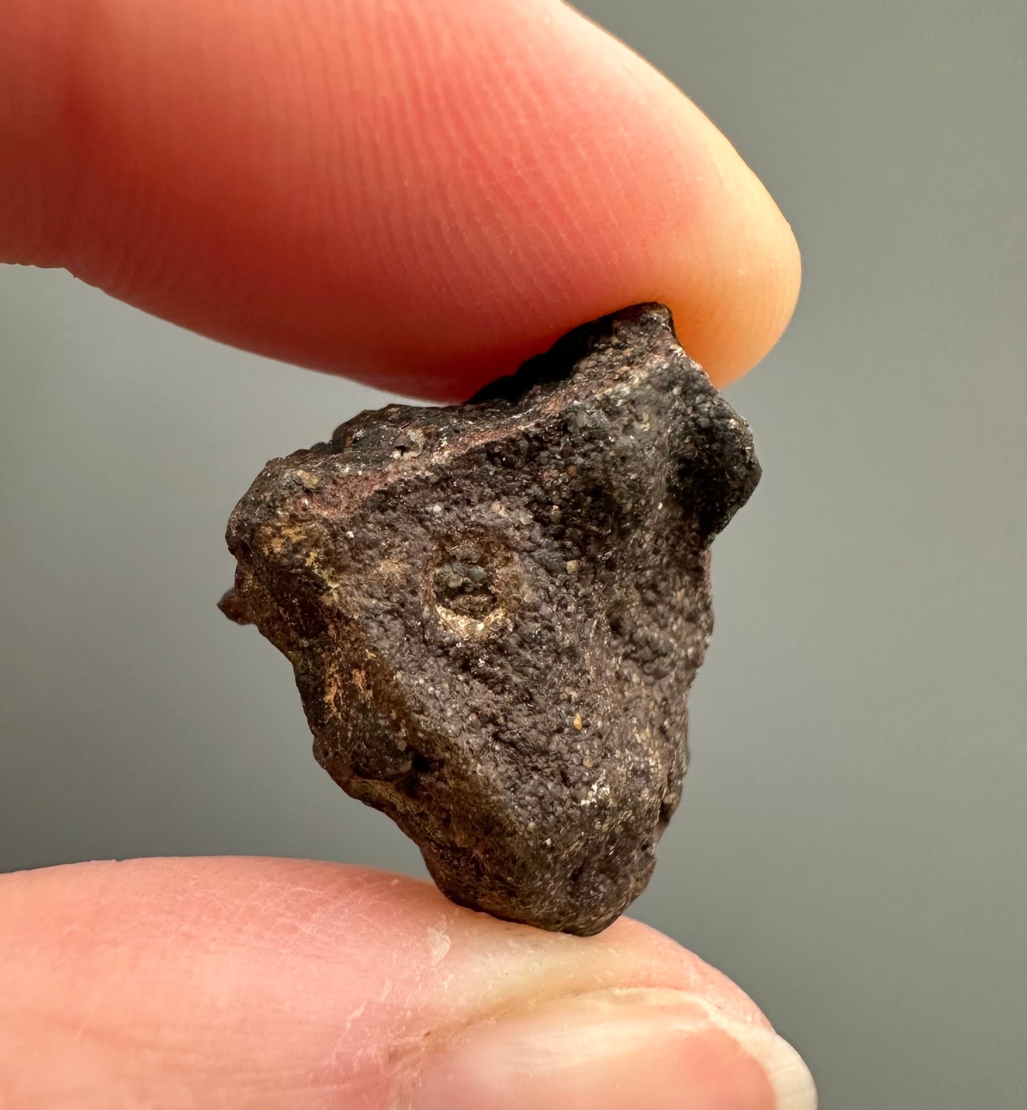 Meteorite Pallasite La'gad 002 – Western Sahara – MELA02