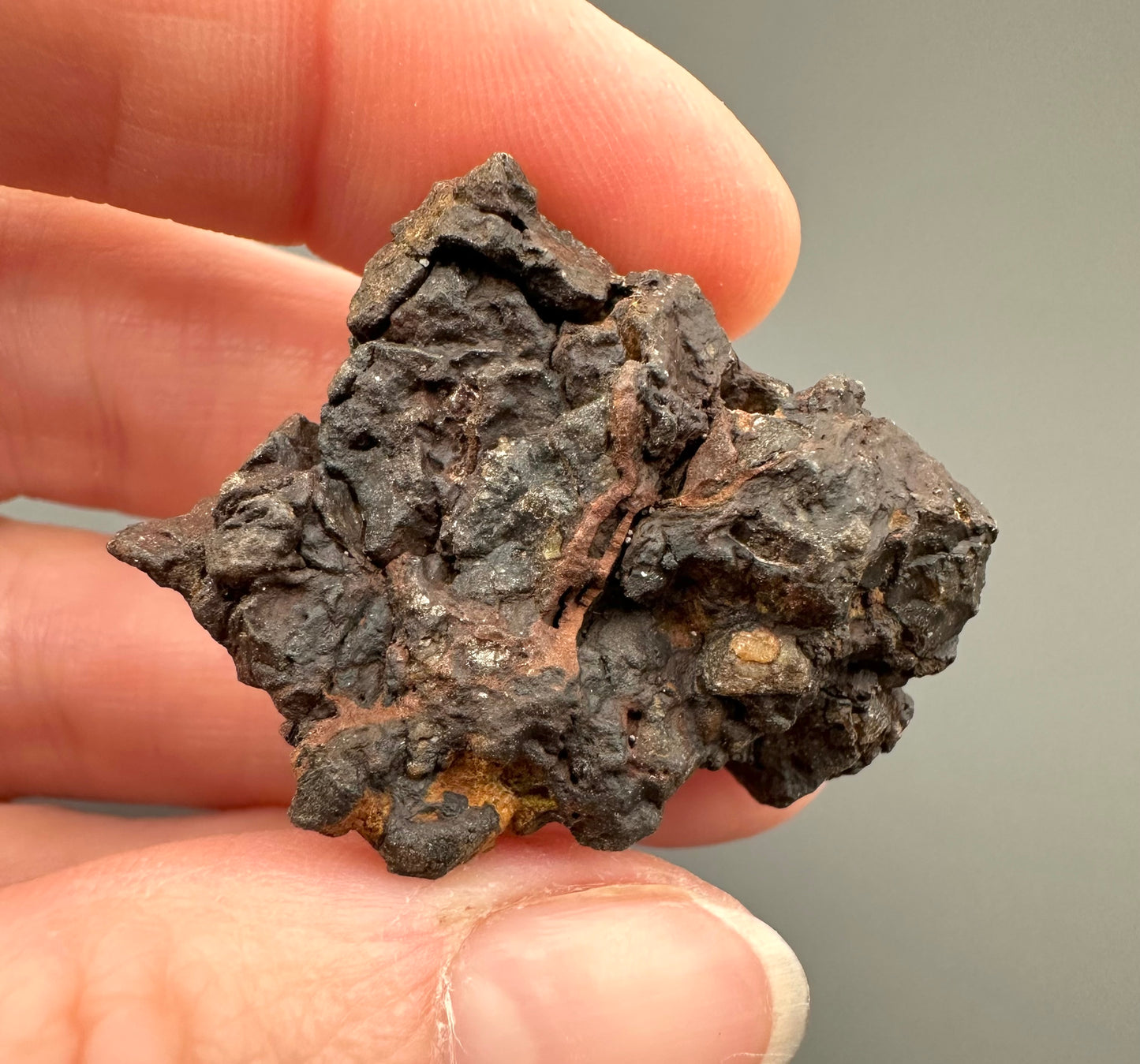 Meteorite Pallasite La'gad 002 – Western Sahara – MELA03