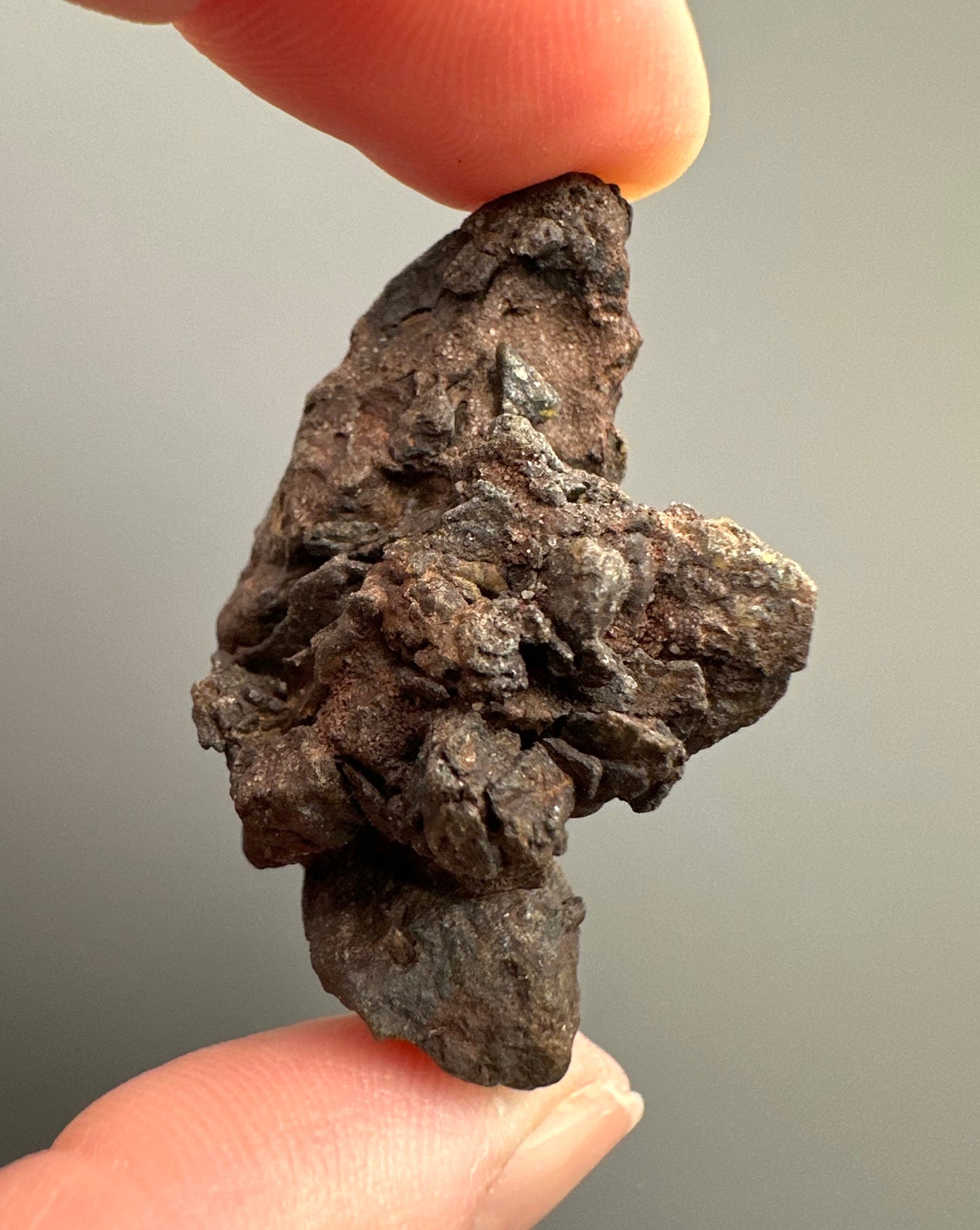 Meteorite Pallasite La'gad 002 – Western Sahara – MELA05