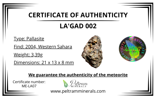 Meteorite Pallasite La'gad 002 – Western Sahara – MELA07