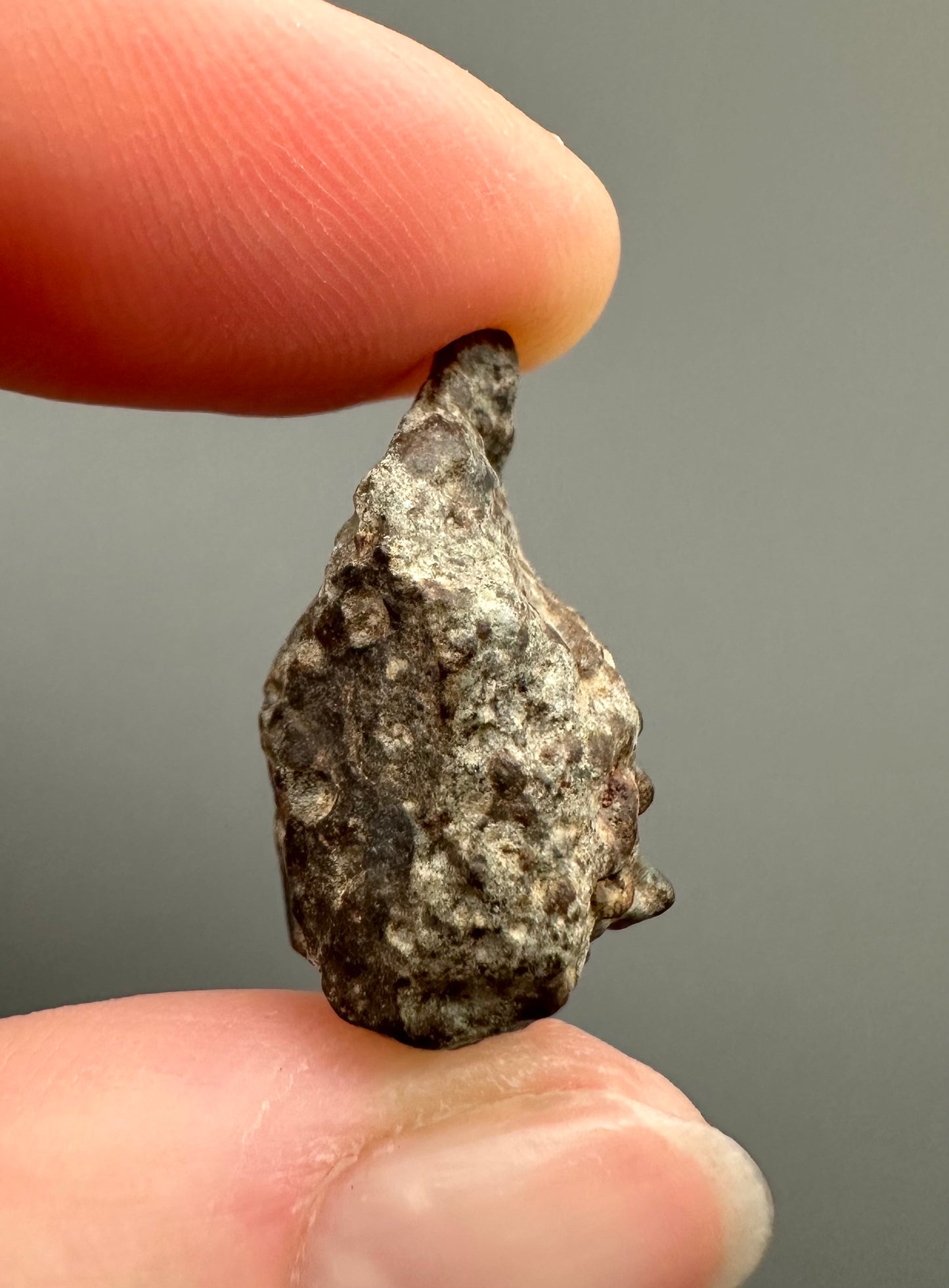 Meteorite NWA 869 – Northwest Africa – MENW02