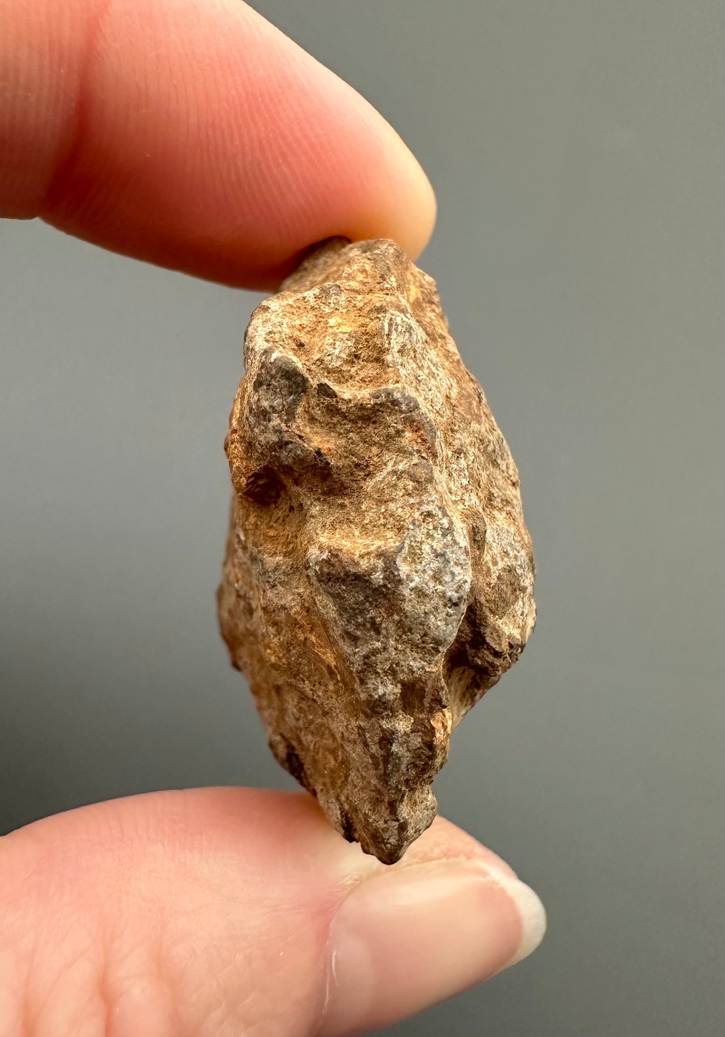 Meteorite Pallasite Sericho – Kenya – MESR67