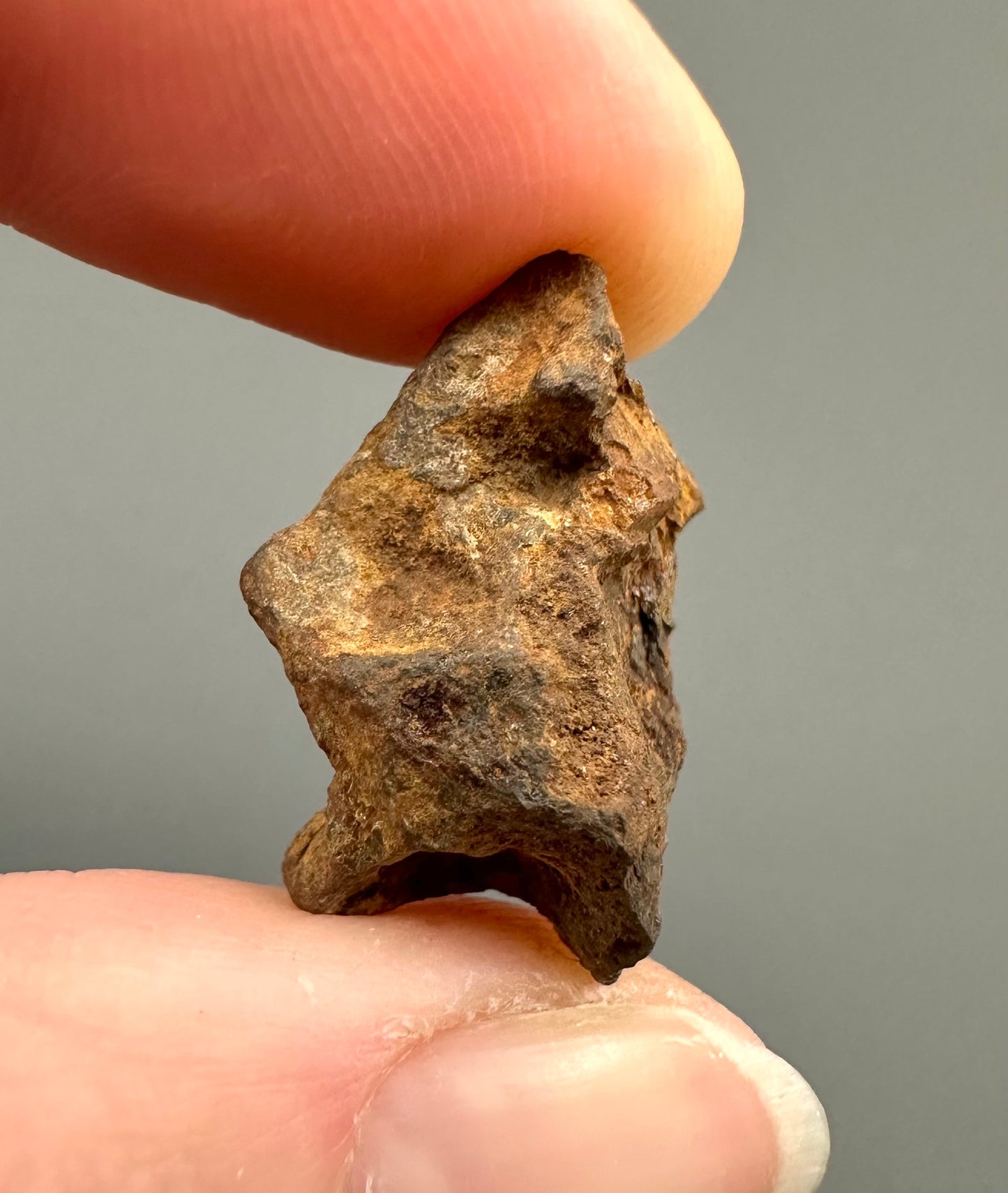 Meteorite Pallasite Sericho – Kenya – MESR68