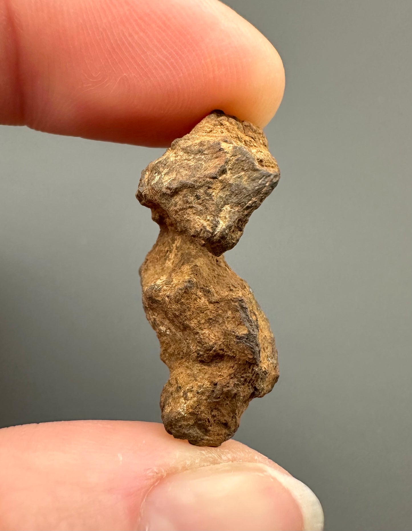 Meteorite Pallasite Sericho – Kenya – MESR71