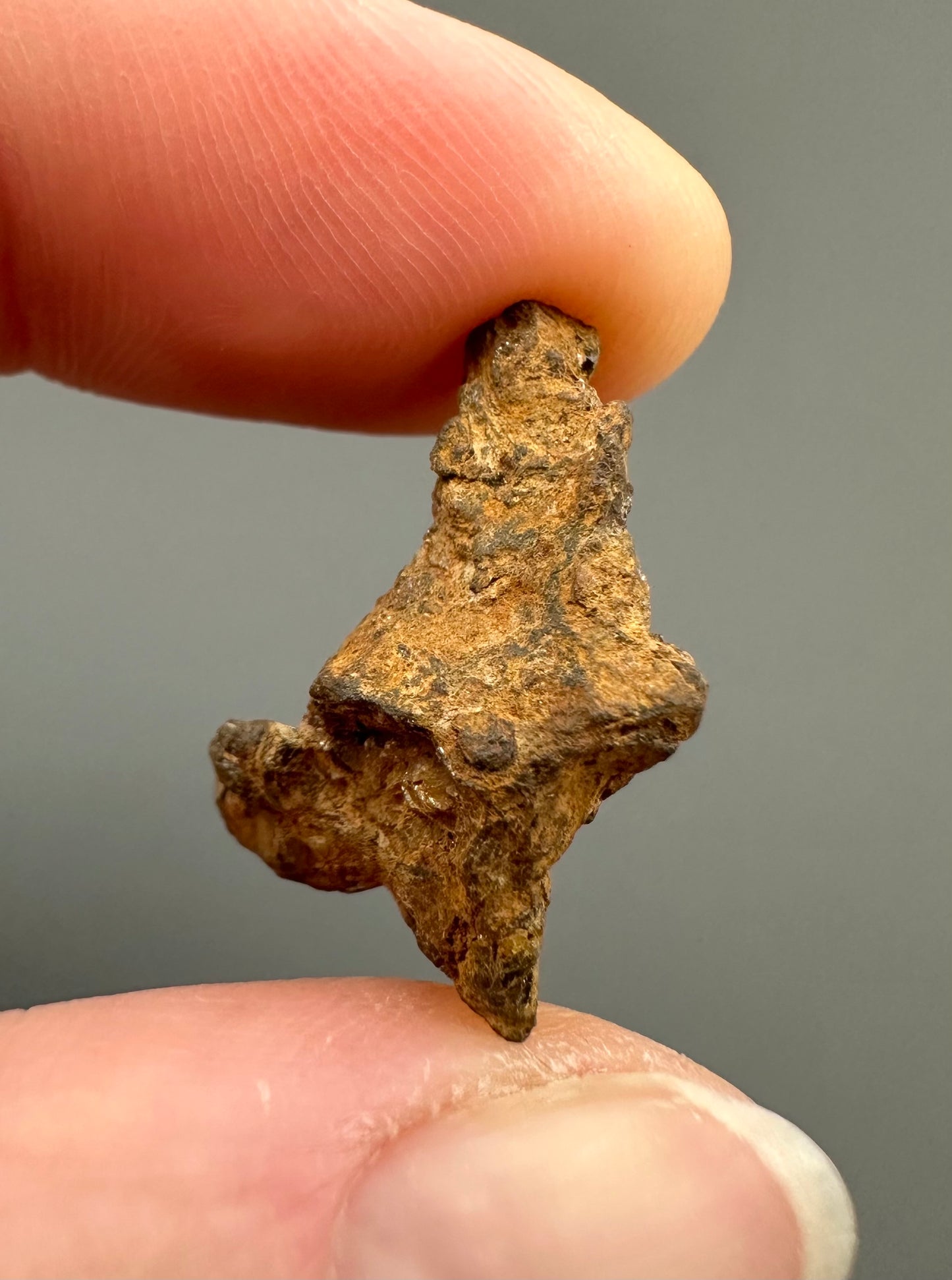 Meteorite Pallasite Sericho – Kenya – MESR73