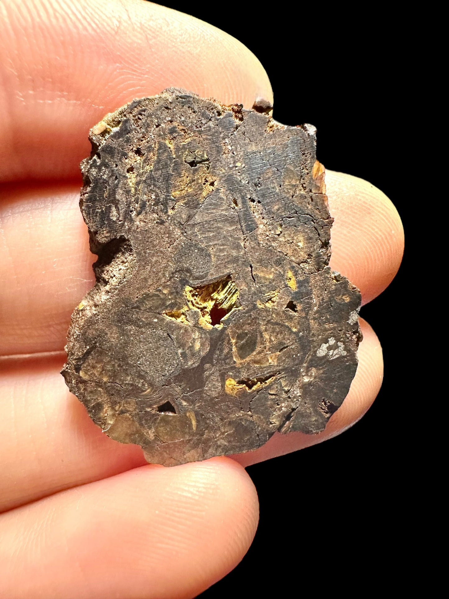 Meteorite Pallasite La'gad 002 – Western Sahara – MELA18